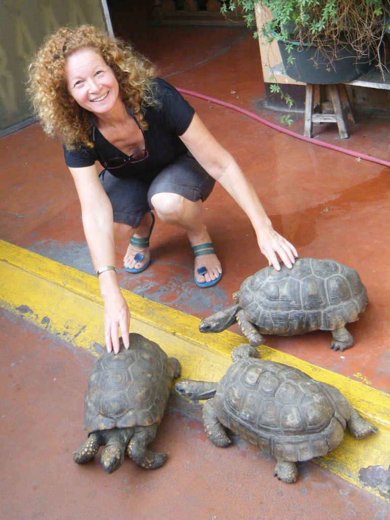 Lima Peru with a Unique and Crazy Hotel