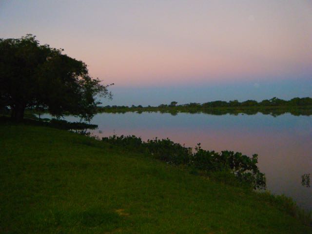 The Pantanal Wetlands of Brazil
