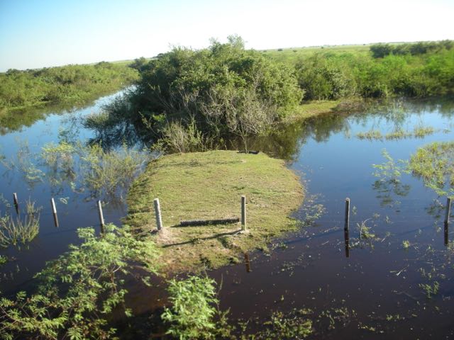 Pantanal Wetlands