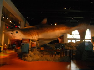 Fort Lauderdale Discovery & Science Museum – Exploramum