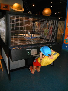 Fort Lauderdale Discovery & Science Museum – Exploramum