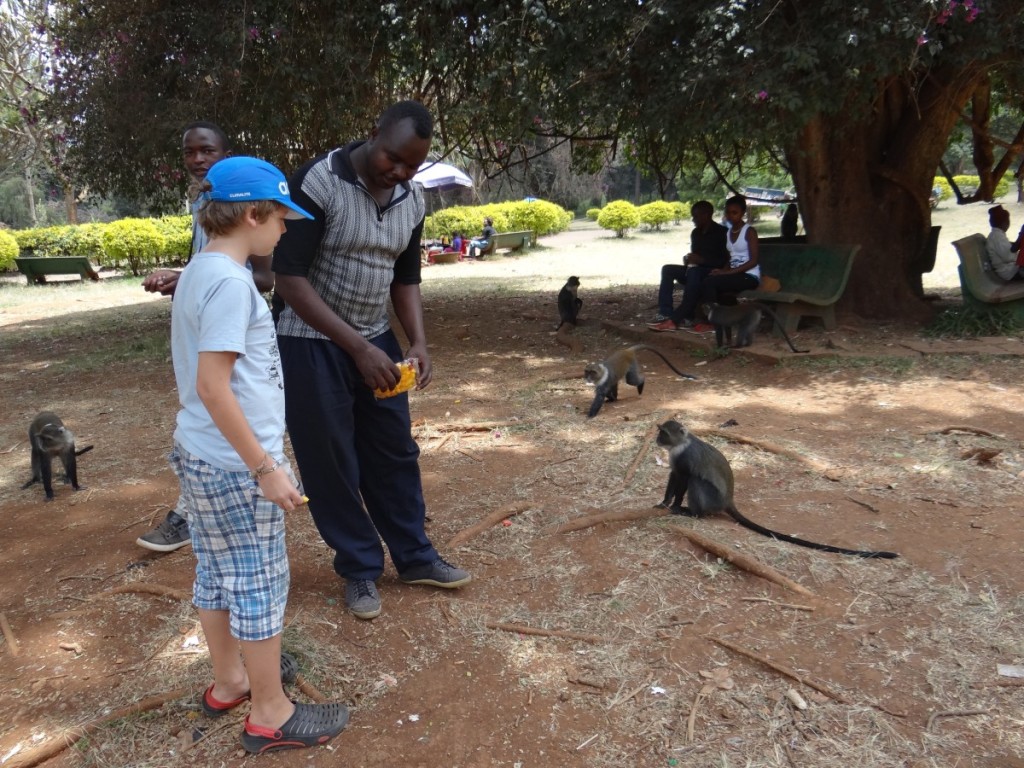 Nairobi Park