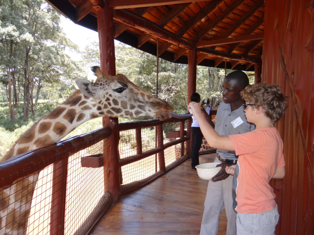 Nairobi Giraffe Centre