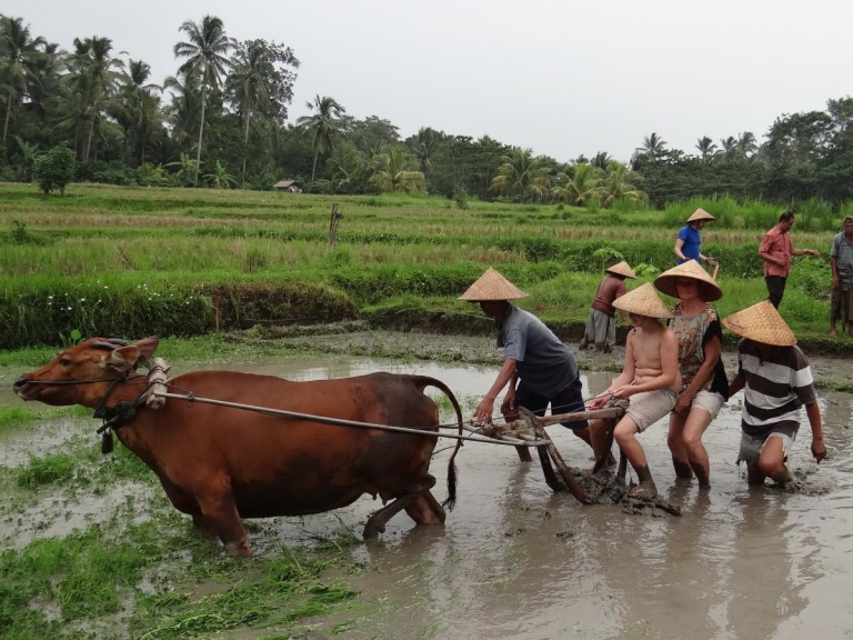 World-schooling In Bali – One Of Our Best Days Ever
