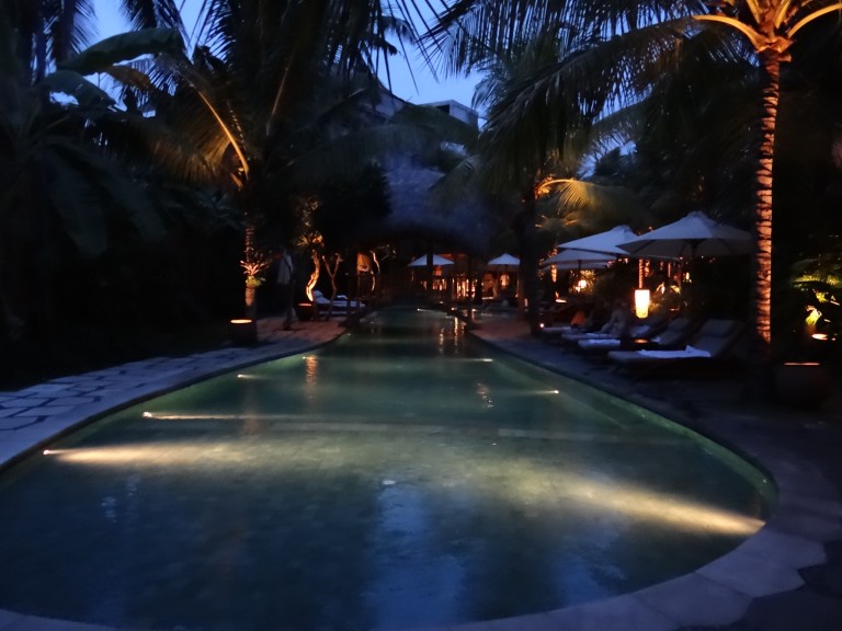 Relax Overlooking the Rice Fields At Alaya Ubud