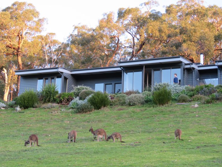 Eyes Peeping Through My Bedroom Window