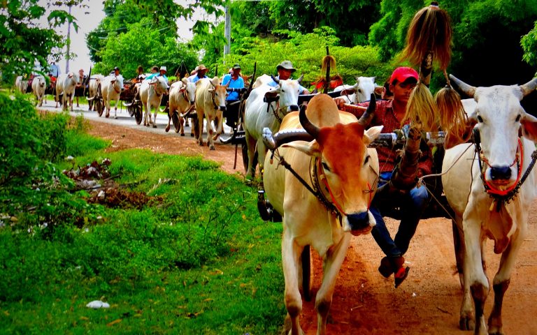Top Things To do In Cambodia For Families And Kids