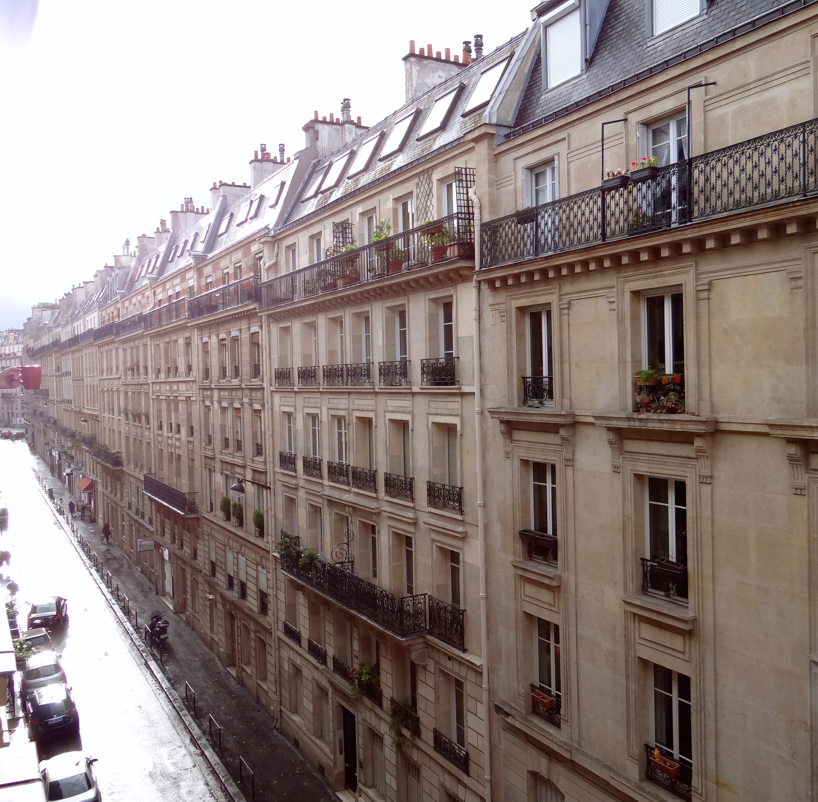 House Sitting In Paris - How To House & Pet Sit Around The World Like Us -  Exploramum & Explorason