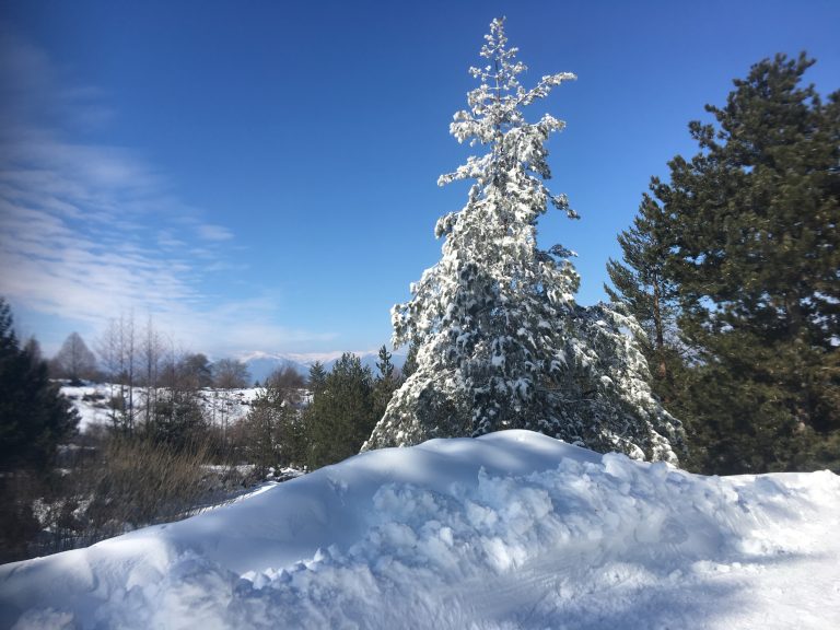 Australians Can Now Ski New Zealand With Affordable Flights