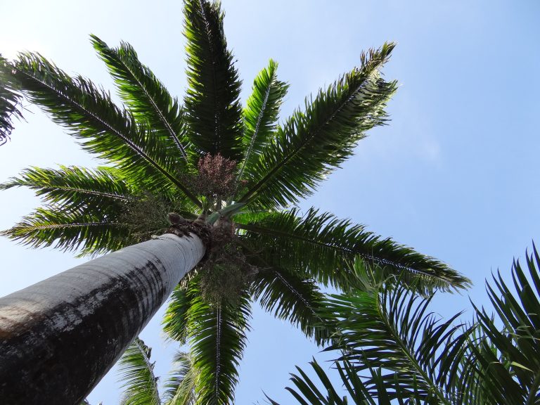 How To Find Bargain Philippines Flights From Australia