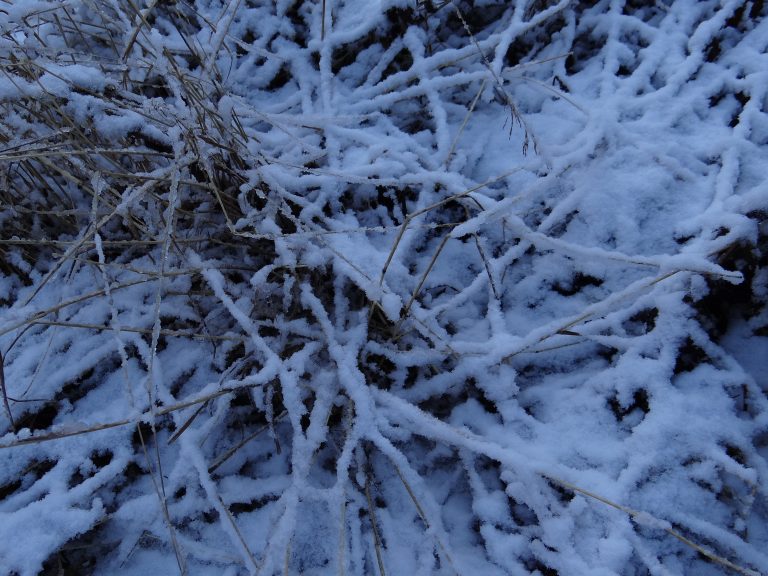 Planning Your Trip to Bryce Canyon