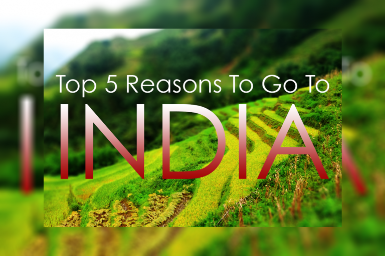 Top 5 Reasons You Should Visit INDIA