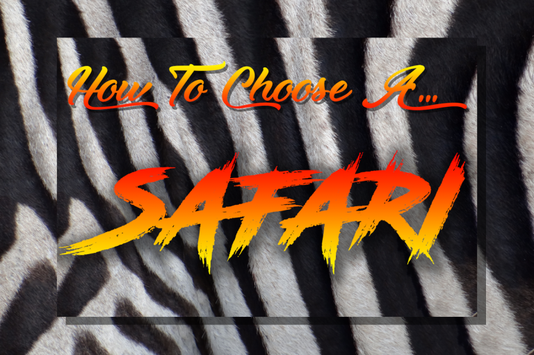 How To Choose An African Safari. Top 6 Safari Choices