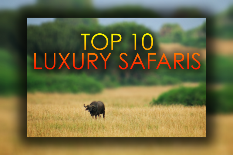 Top 10 Luxury Safari Destinations In Kenya Africa