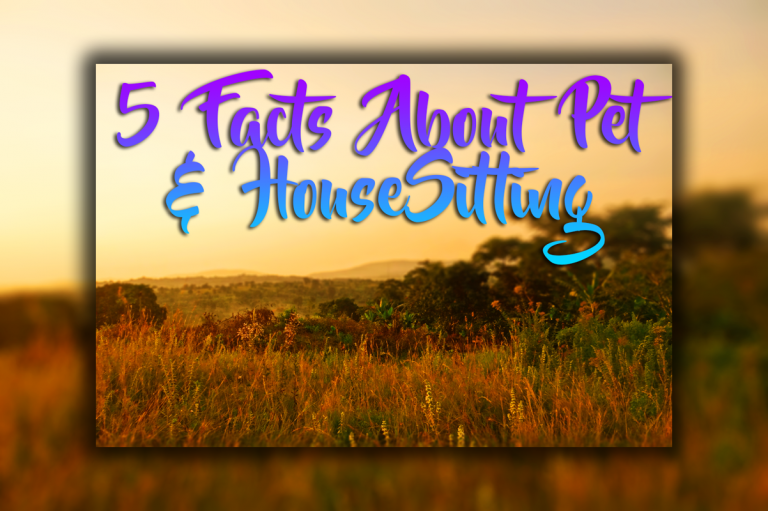 5 Important Facts About House And Pet Sitting