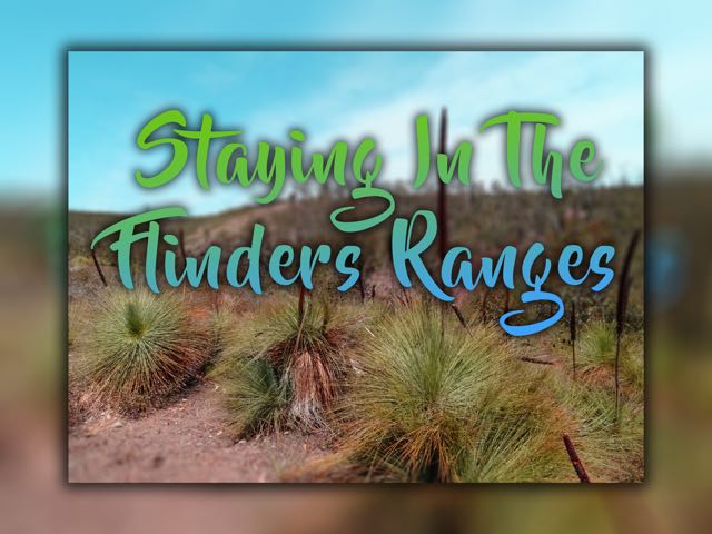 Flinders Ranges 