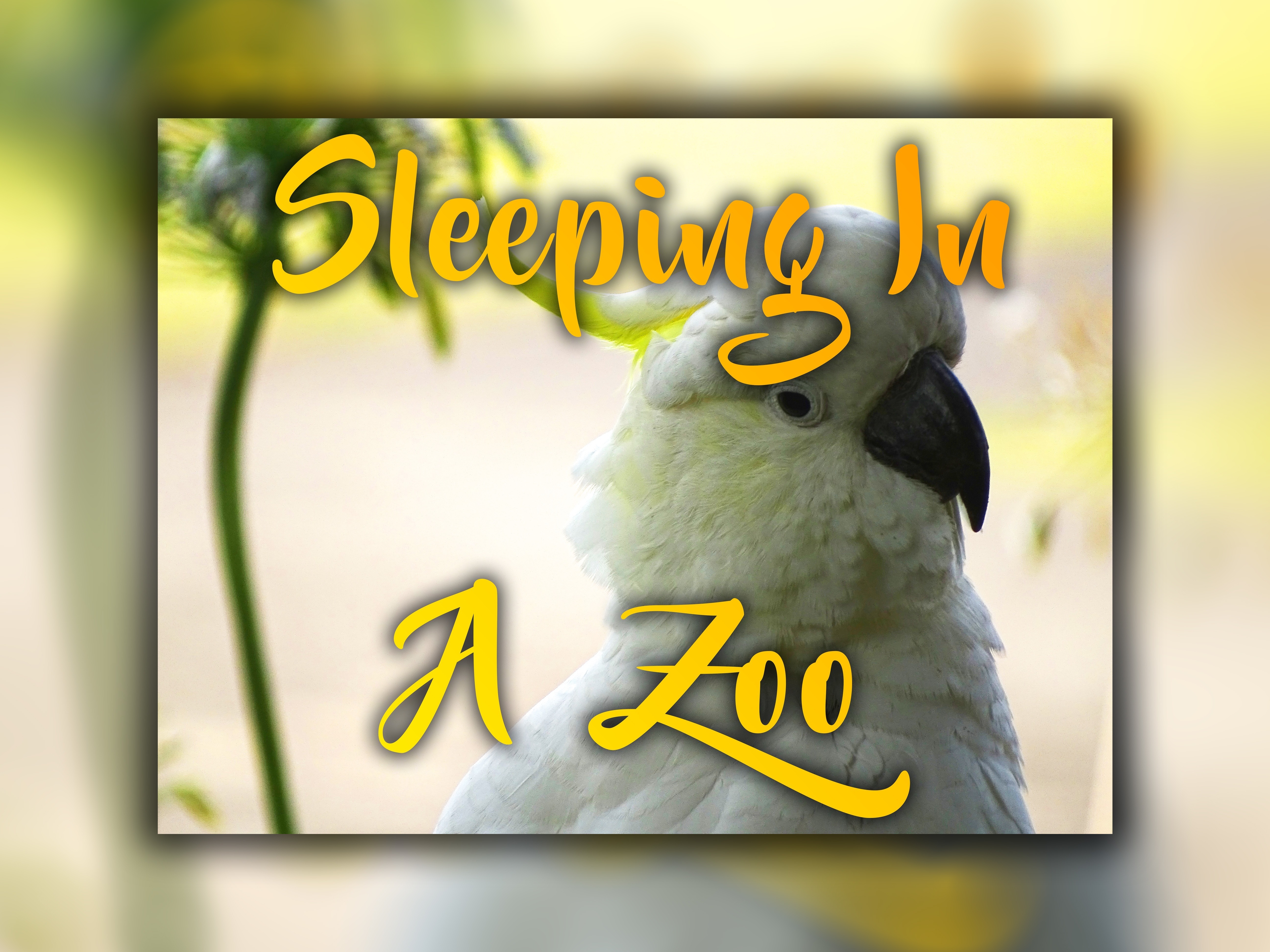 Sleeping in a zoo