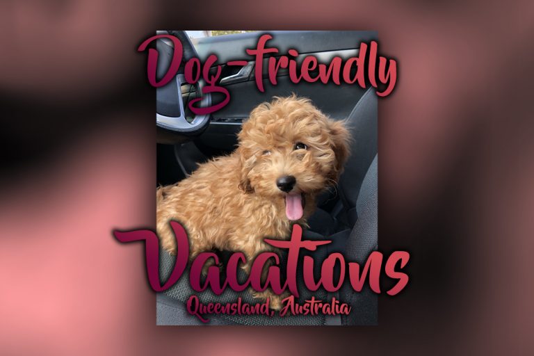 Dog-Friendly Accommodation in Queensland